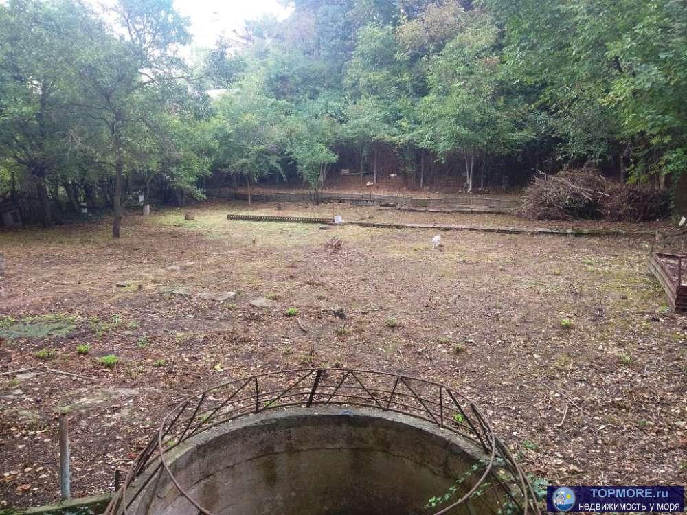 Продаем участок 8 сот , СТ Родничек, рядом ул. Ромашковая    - на участке есть старый домик, большие теневые деревья,...