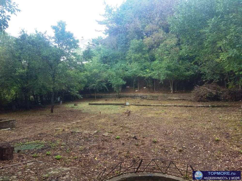 Продаем участок 8 сот , СТ Родничек, рядом ул. Ромашковая    - на участке есть старый домик, большие теневые деревья,... - 1