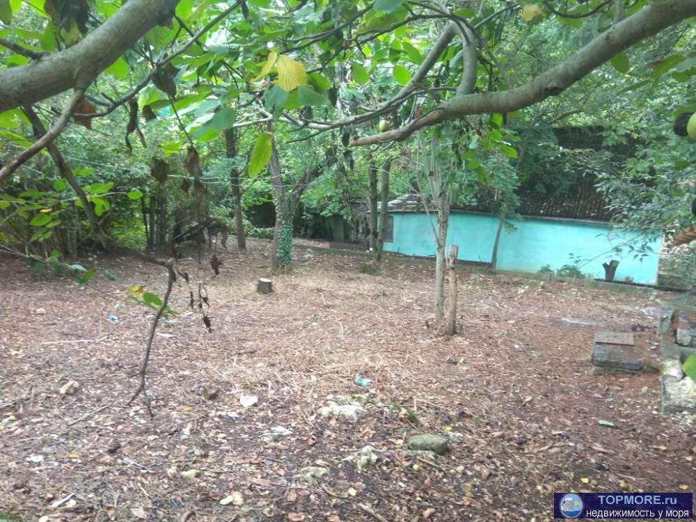 Продаем участок 8 сот , СТ Родничек, рядом ул. Ромашковая    - на участке есть старый домик, большие теневые деревья,... - 2