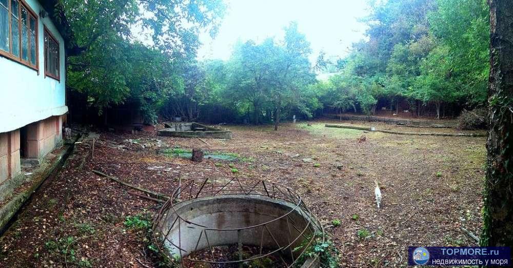 Продаем участок 8 сот , СТ Родничек, рядом ул. Ромашковая    - на участке есть старый домик, большие теневые деревья,... - 4