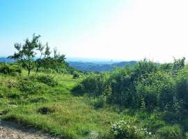 Продажа участка для ИЖС в Раздольном по ул. Фундучная. Площадь...