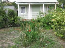  В доме 5 комнат, 2 кухни, пригоден для жизни. Большая территория...