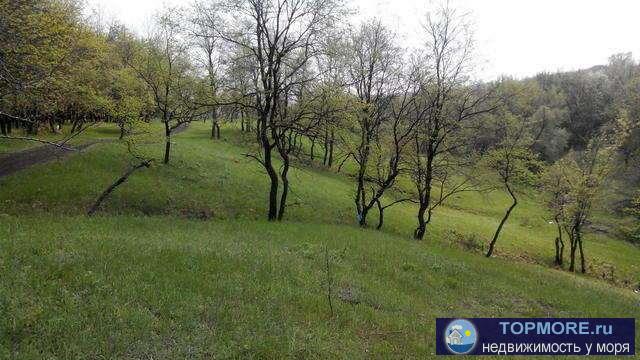Продается земельный участок 12 соток в пгт Приморский, СПК Парус, район Песчаная Балка, по членской книжке. На... - 2