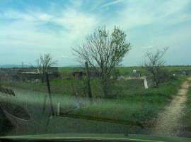 пгт Приморский, Парус СТ, участок, 12 соток.Участок возле дороги....