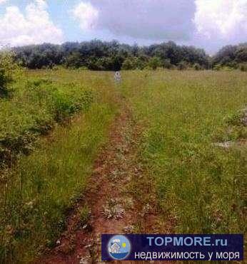 Продается участок в городе Старый Крым, Лесная Поляна, участок 10 соток, госакт. Свет есть, вода есть.