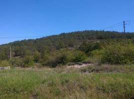 Продается земельный участок 6 соток в с. Солнечное, ул. Сосновая....