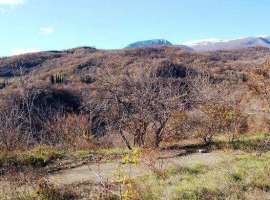 Продается участок 25 соток в с Лазурное, ул. Головкинского.
К...