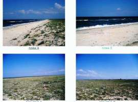 Продается земельный участок 10 соток в с Семисотка, ул. Юбилейная,...