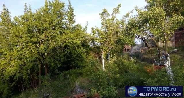 Продается земельный участок 12 соток в г. Феодосия, ул. Виноградная. Вокруг сосновый лес, имеются подъезды для авто.... - 2