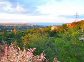 Продается земельный участок 11,6 соток, Садоводчество. Участок...