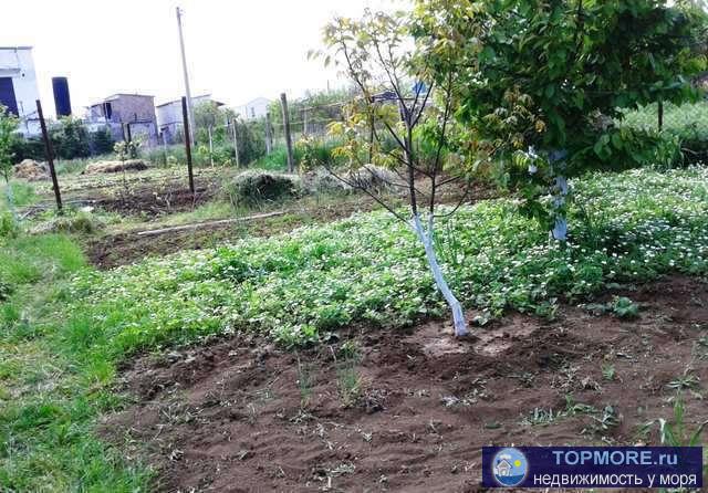 Продаютя 2 смежных участка Цветочная и Рябиновая улицы. Участок огорожжен коммуникации по границе, вода...