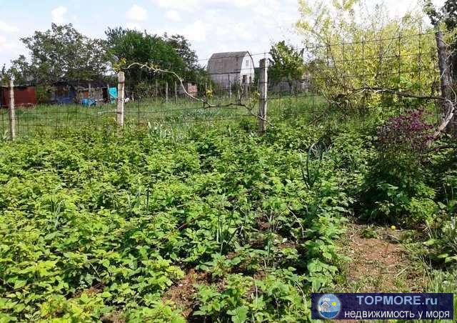 Продаютя 2 смежных участка Цветочная и Рябиновая улицы. Участок огорожжен коммуникации по границе, вода... - 2