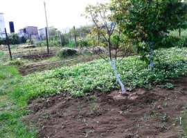 Продаютя 2 смежных участка Цветочная и Рябиновая улицы. Участок...