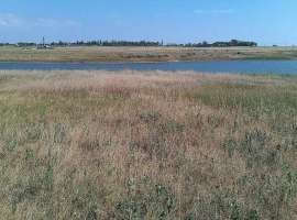 Продается земельный участок 24 сотки, 500 м до моря. Участок...