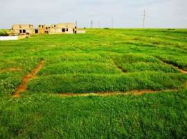 Участок ровный, прямоугольной формы с видом на море.На участке...