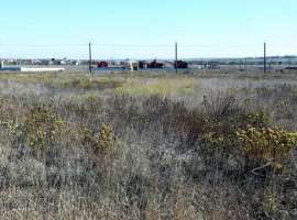 Ровный, сухой участок, расстояние до моря - 1000 м, великолепный...