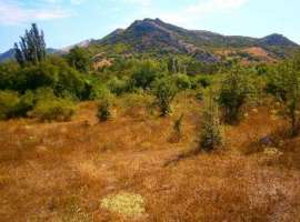  Спокойное и тихое место с прекрасным видом на горы Кара-Даг и...