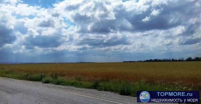 Продается участок 2 Га на территории Кировского района, Партизанского с/с. Земля постоянно обрабатывается, почва... - 2