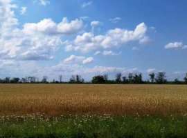 Продается участок 2 Га на территории Кировского района,...