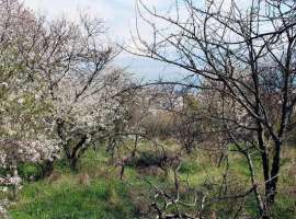 Продается участок в с/т Родник, на горе выше центрального...