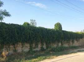 Продается участок 40 соток, 500 м до моря, вода, свет, газ на...