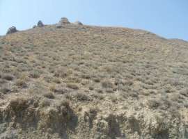 Продается приватизированный участок в СПК Планета, пгт...