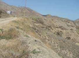 Продается  приватизированный участок в СПК Планета, пгт...