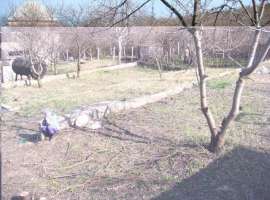 Продается огороженный, ровный участок в СПК Энергетик, г. Феодосия,...