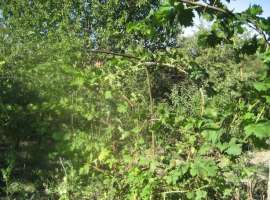 Продается земельный участок 14 соток в г. Феодосия, по ул...