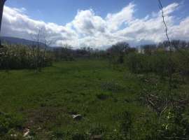 Продается участок 24 сотки, ИЖС по адресу с. Кринички, Кировский...