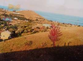 Продается приватизированный участок в урочище Бугаз у мыса Меганом,...