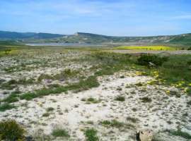 Продается участок 5,5 соток, садоводчество по адресу пгт Коктебель,...