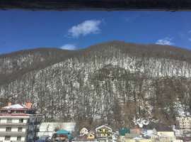 Просторная, светлая квартира - студия в самом сердце п. Эсто-Садок,...