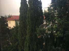 Студия в самом центре Адлера, очень удобное расподожение, вся...