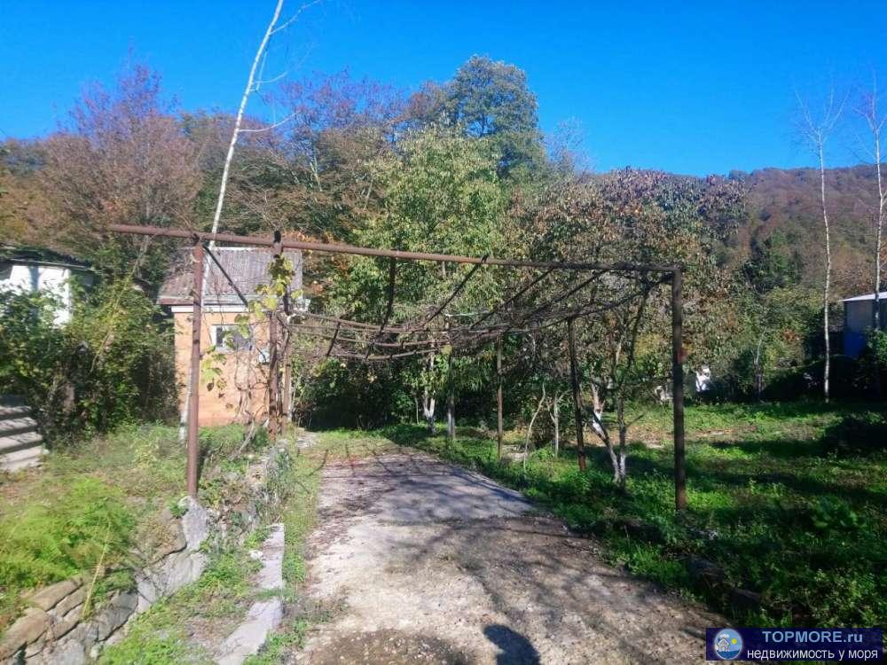 Продается участок с садовым домиком. Прописка. Вода свет заведены газ по участку   септик. Участок находится в районе...