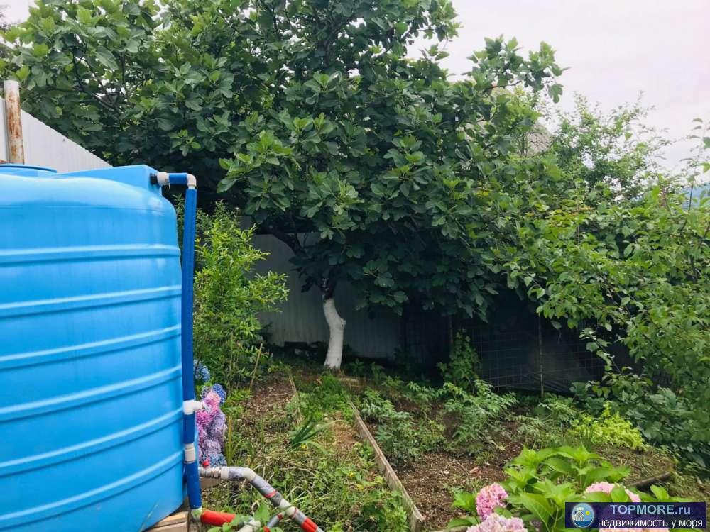 Продамуютную дачу с плодовыми деревьями , теплицей, грядками! Экологически чистый район, кругом горы ивечнозеленые... - 1