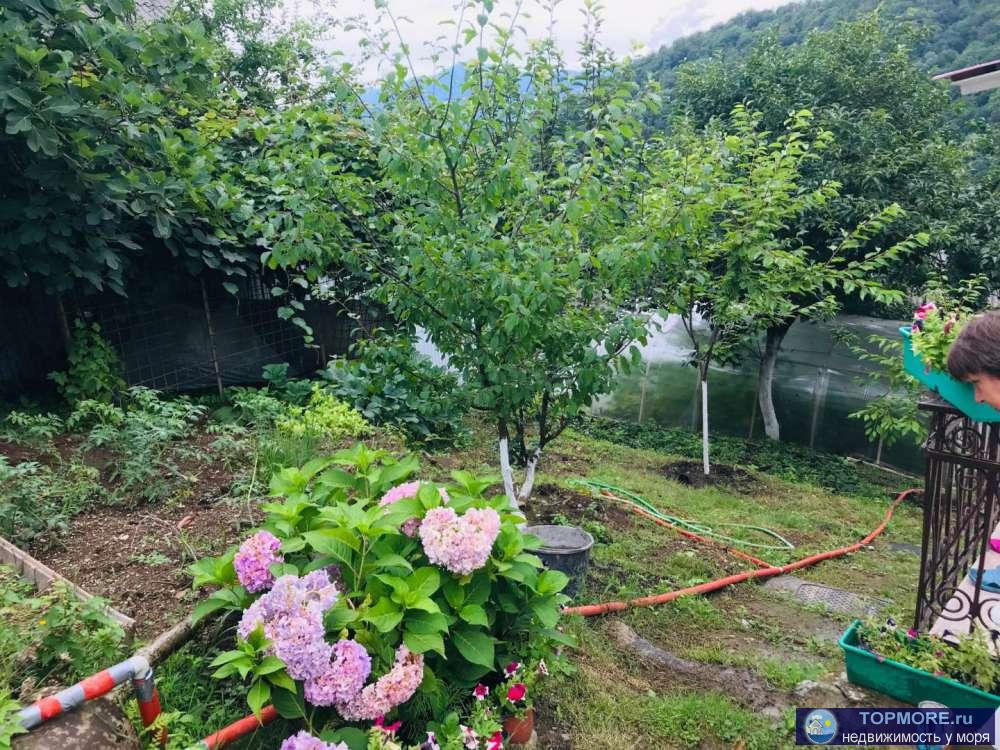 Продамуютную дачу с плодовыми деревьями , теплицей, грядками! Экологически чистый район, кругом горы ивечнозеленые... - 2