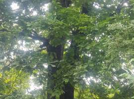 Продается капитальный двухэтажный Дом 50кв.м. с ровным...