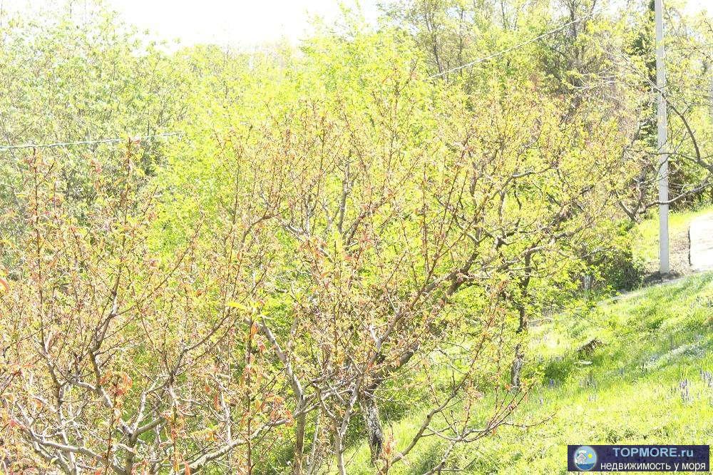 Продается дом в стиле High-tech в живописнейшем месте сочинского побережья на границе с Национальным парком.В доме... - 1