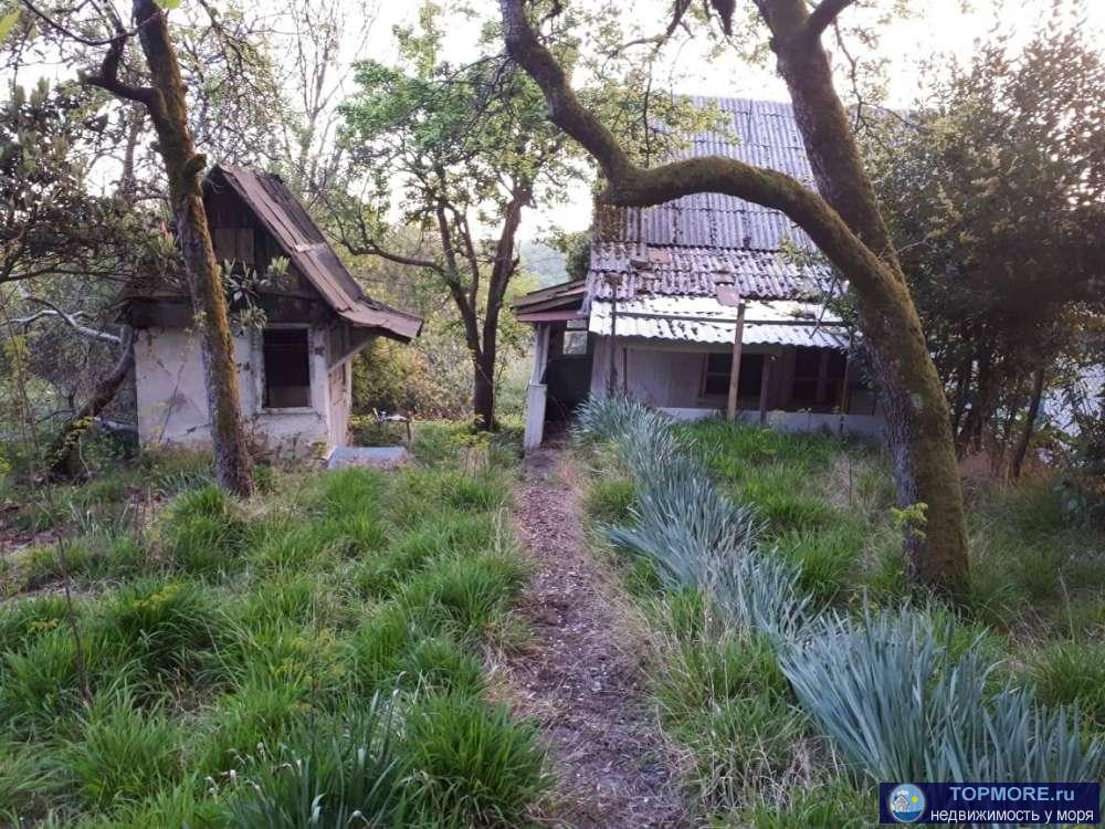 Домовладение, площадью 50 м2, на участке земли площадью 11 соток. Расположен в 3 км от Хосты. На территории... - 2