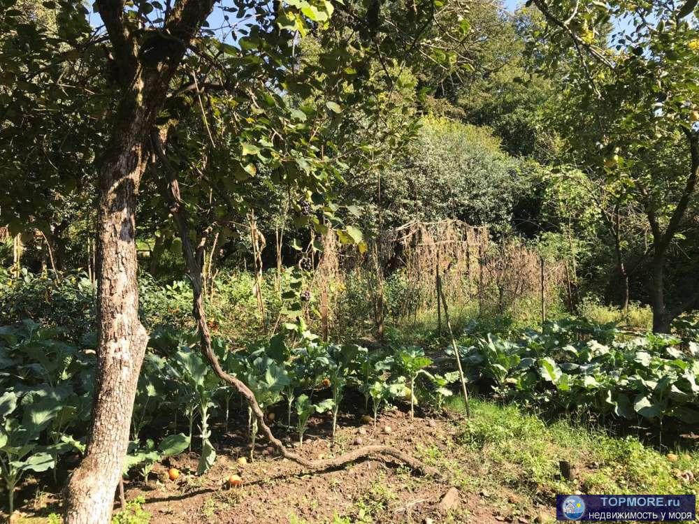 Продается дом с участком 16 соток ,На первом этаже, кухня столовая , 3 спальни, зал, на втором этаже 2 спальни.... - 2