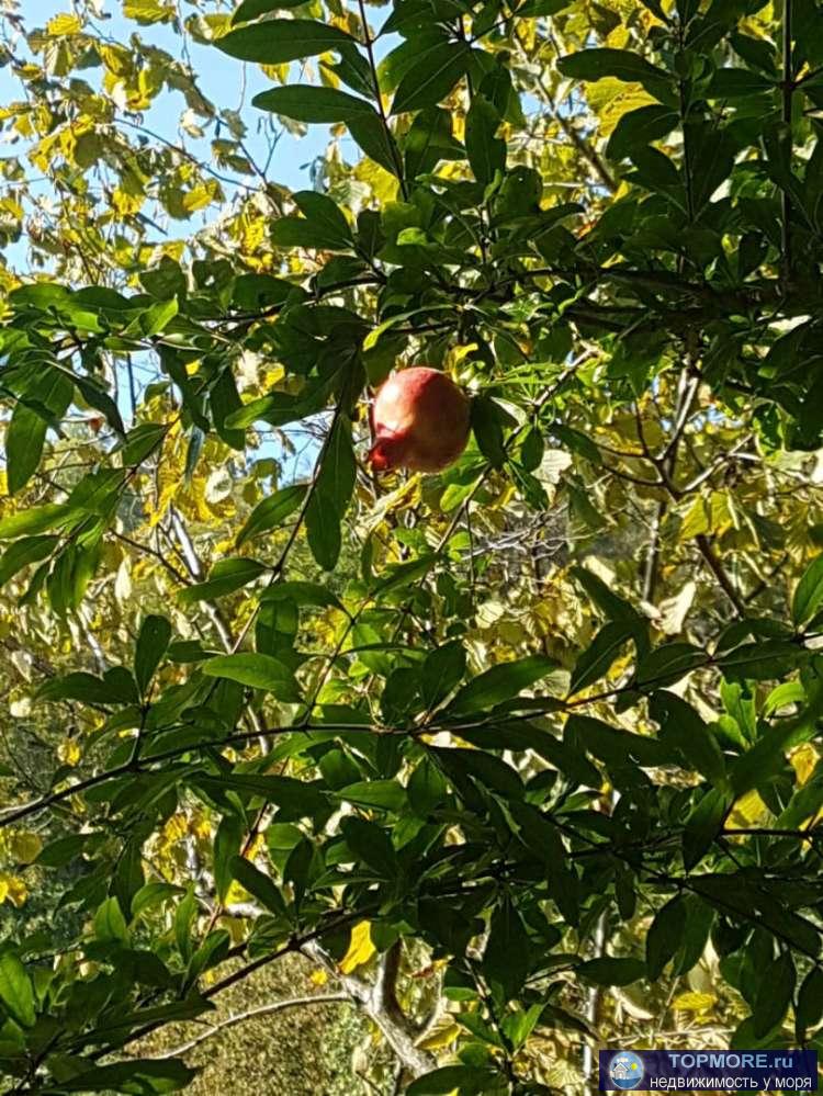 Продается участок в с Казачий брод 7 с, ровный с красивым панорамным видом на Форелевое хозяйство, Скайпарк, р.... - 2