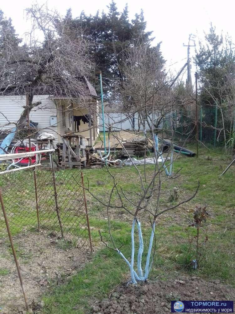 Отличное месторасположение где находится дом! Рядом дорога, остановки, магазины. Самая лучшая школа и больница в... - 1