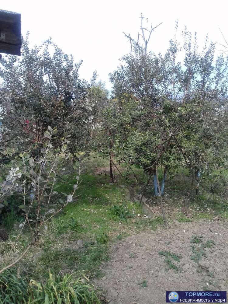 Отличное месторасположение где находится дом! Рядом дорога, остановки, магазины. Самая лучшая школа и больница в... - 2