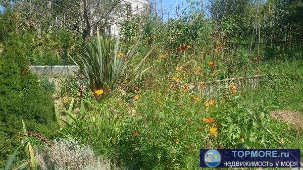 Дом жилой, уютный находится в лесу, дальше тупик. Спокойное чудесное место для спокойной жизни! На участке залит... - 1