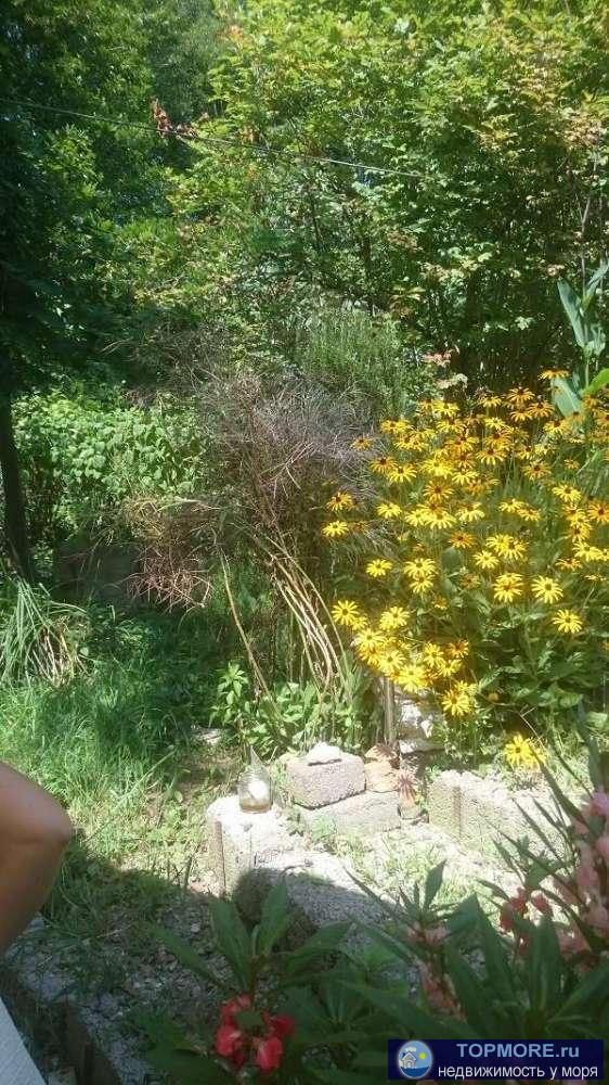 Дом жилой, уютный находится в лесу, дальше тупик. Спокойное чудесное место для спокойной жизни! На участке залит... - 2