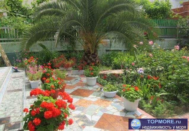 Продам дом 4-этажный дом 315 м? (пеноблоки) на участке 7 сот., в черте города Адлерский р-он, микрорайон Курортный... - 2