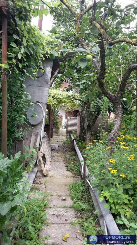 Продается половина двухэтажного дома на берегу реки в Молдовке! Общая площадь жилых 5 комнат составляет около 100 кв.... - 1