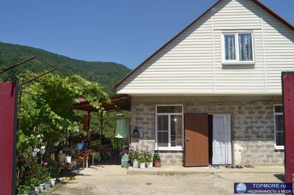 Дом в тихом спокойном , зелёном месте. Сад с плодоносящими деревьями - хурма , мушмала , фейхоа, слива , виноград ,...