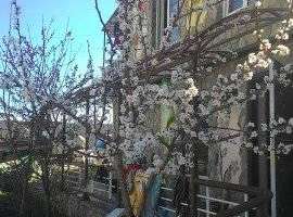 2x этaжный дoм, на пeрвом этаже туалет с вaнной cовмeщенный, куxня...